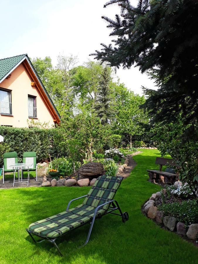 Pension Zum Weissen Hirsch Reitwein Eksteriør bilde
